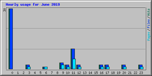 Hourly usage for June 2019
