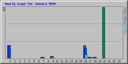 Hourly usage for January 2020